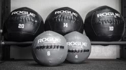 Rogue Hoover Medicine Balls