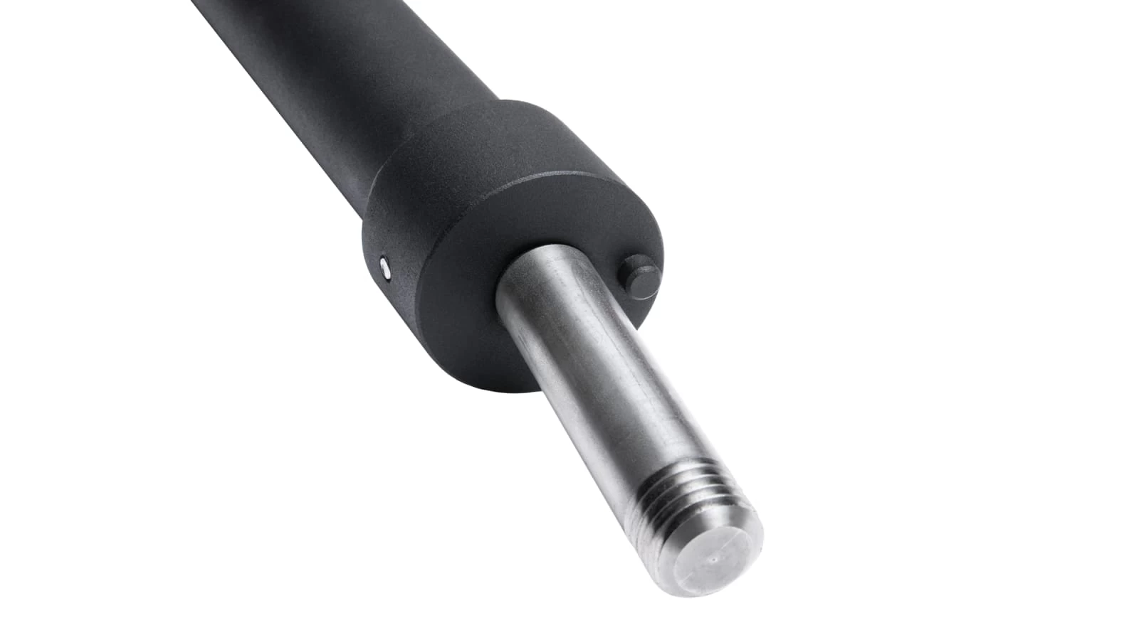 Rogue Velocidor - Image 5