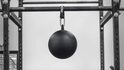 Rogue 12" Pull-up Globe